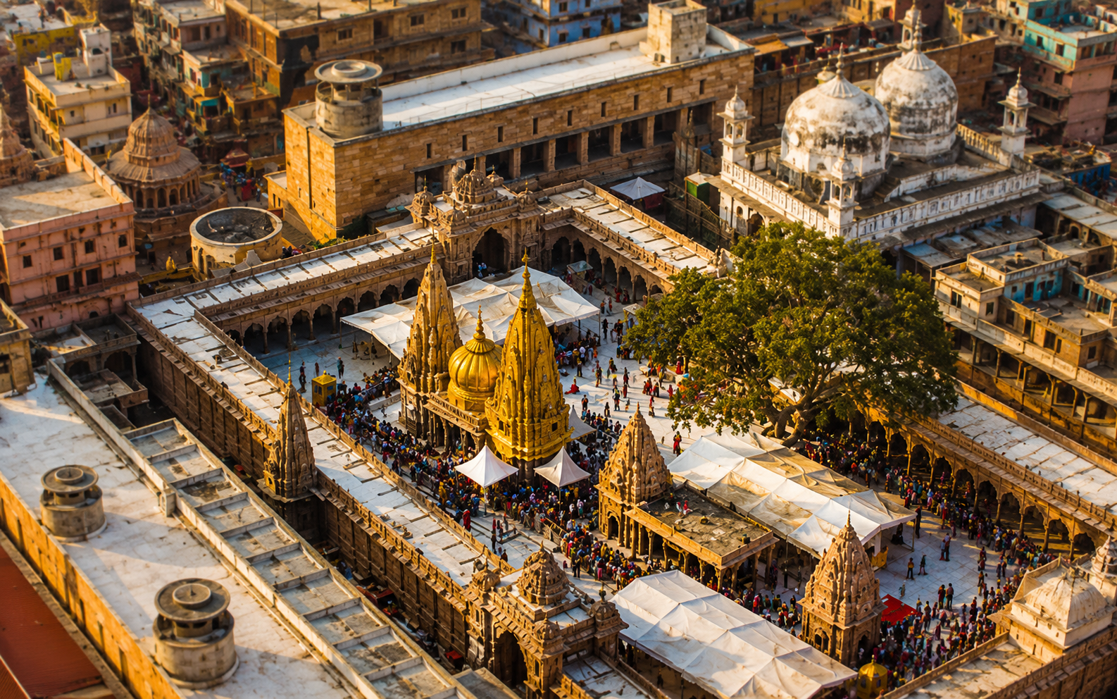 Temple darshan in Kashi